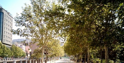 Jardines de Violón