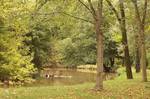 Parque Lambro - Autor